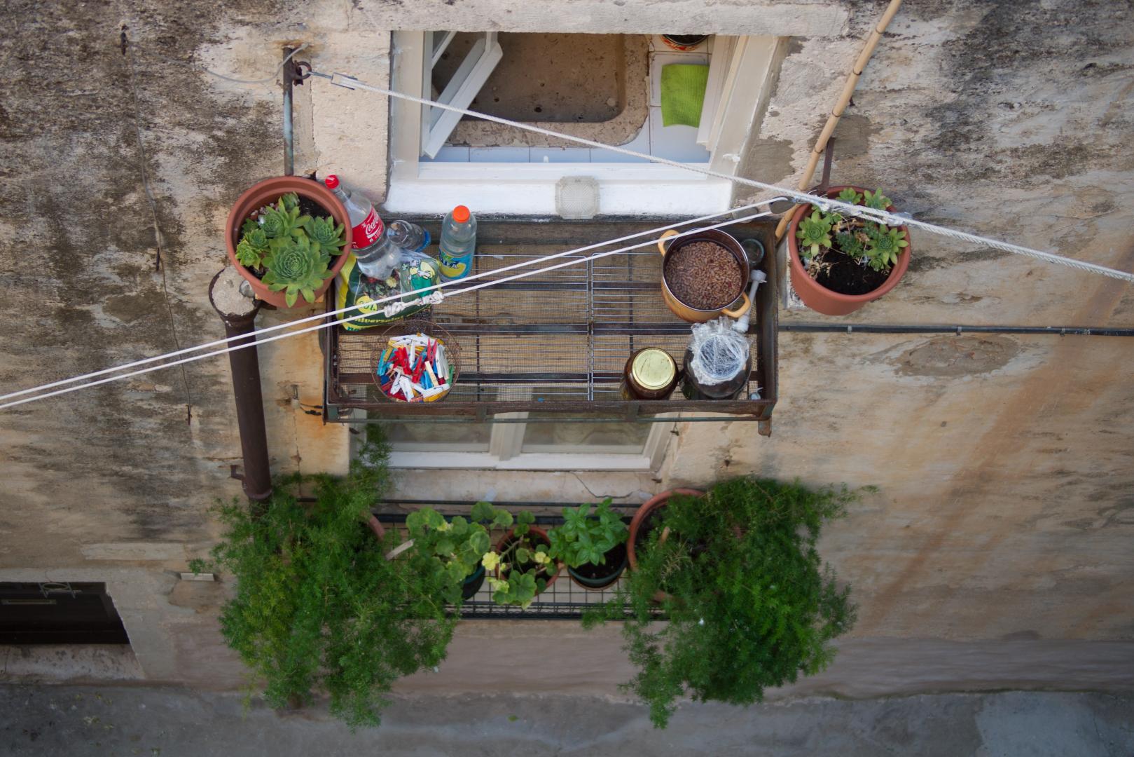 urban gardening